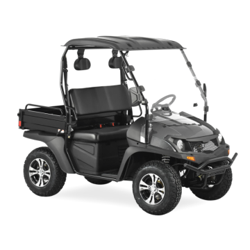 200CC UTV with High-Low speed Carbon Fiber